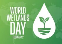 Hari Lahan Basah Sedunia: Memperingati Keberlanjutan Ekosistem Air dan Kehidupan