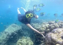 Wisata Pulau Sikuai: Mengungkap Surga Tersembunyi Review Lengkap Wisata