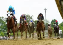 Experience the Excitement: Preakness 2024 – Thrills, Traditions, and Triumphs Unleashed