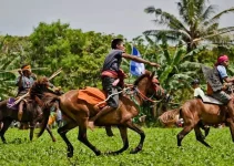 Mengungkap Ritus Pasola: Tradisi Perang Lembing Penuh Makna di Sumba Barat