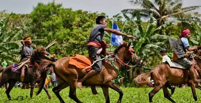 Mengungkap Ritus Pasola: Tradisi Perang Lembing Penuh Makna di Sumba Barat