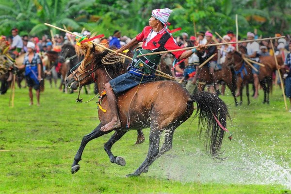 keindahan seni budaya Ritus Pasola