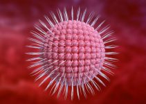 Virus Varicella-Zoster: Cerita, Fakta, dan Tips Ampuh Hadapi Si Pengganggu Kulit Virus Varicella-Zoster: Cerita, Fakta, dan Tips Ampuh Hadapi Si Pengganggu Kulit