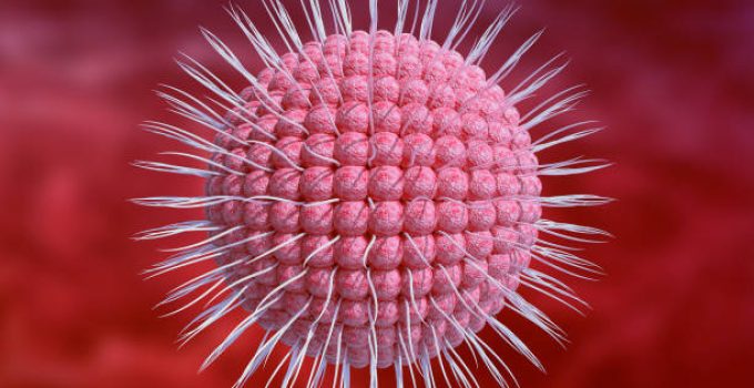 Virus Varicella-Zoster: Cerita, Fakta, dan Tips Ampuh Hadapi Si Pengganggu Kulit