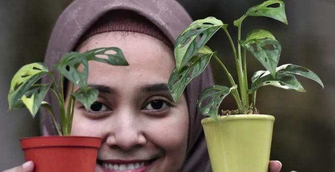 Bisnis Tanaman Hias: Dari Hobi Jadi Cuan, Peluang Hijau yang Tak Pernah Layu