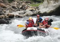 Namu Sira Sira: Menyelami Keunikan dan Misteri Alam yang Memikat Hati Namu Sira Sira: Menyelami Keunikan dan Misteri Alam yang Memikat Hati