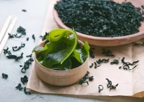 Rumput Laut: Keajaiban Laut yang Menyentuh Hidup Kita Rumput Laut: Keajaiban Laut yang Menyentuh Hidup Kita