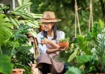 Eco Lifestyle: Jalan Sederhana yang Mengubah Cara Kita Mencintai Bumi