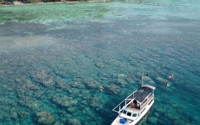 Daya Tarik Utama Pulau Menjangan Kecil