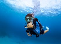 Menyelami Surga Bawah Laut: Panduan Lengkap Scuba Diving
