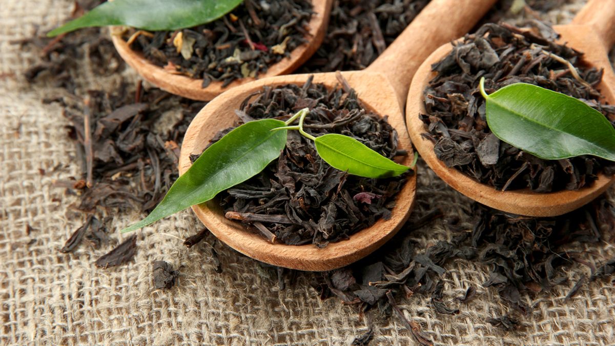 5 Manfaat Ampas Teh Bekas