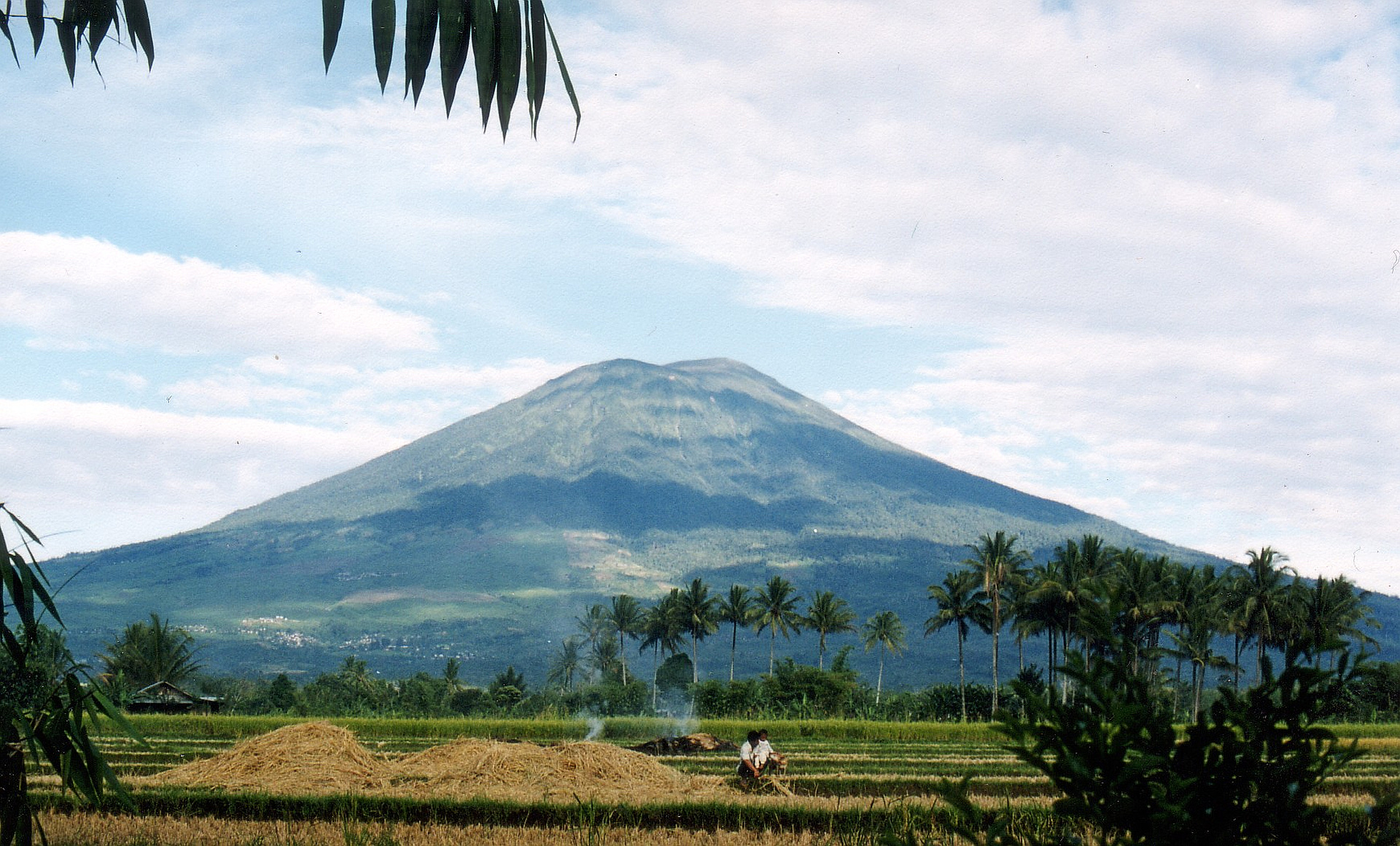 Gunung Dempo Sejuk