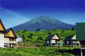 Gunung Dempo Sejuk
