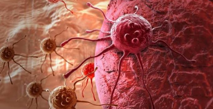 Pertumbuhan Sel Abnormal: Ketika Perubahan Kecil dalam Tubuh Membawa Pesan Besar